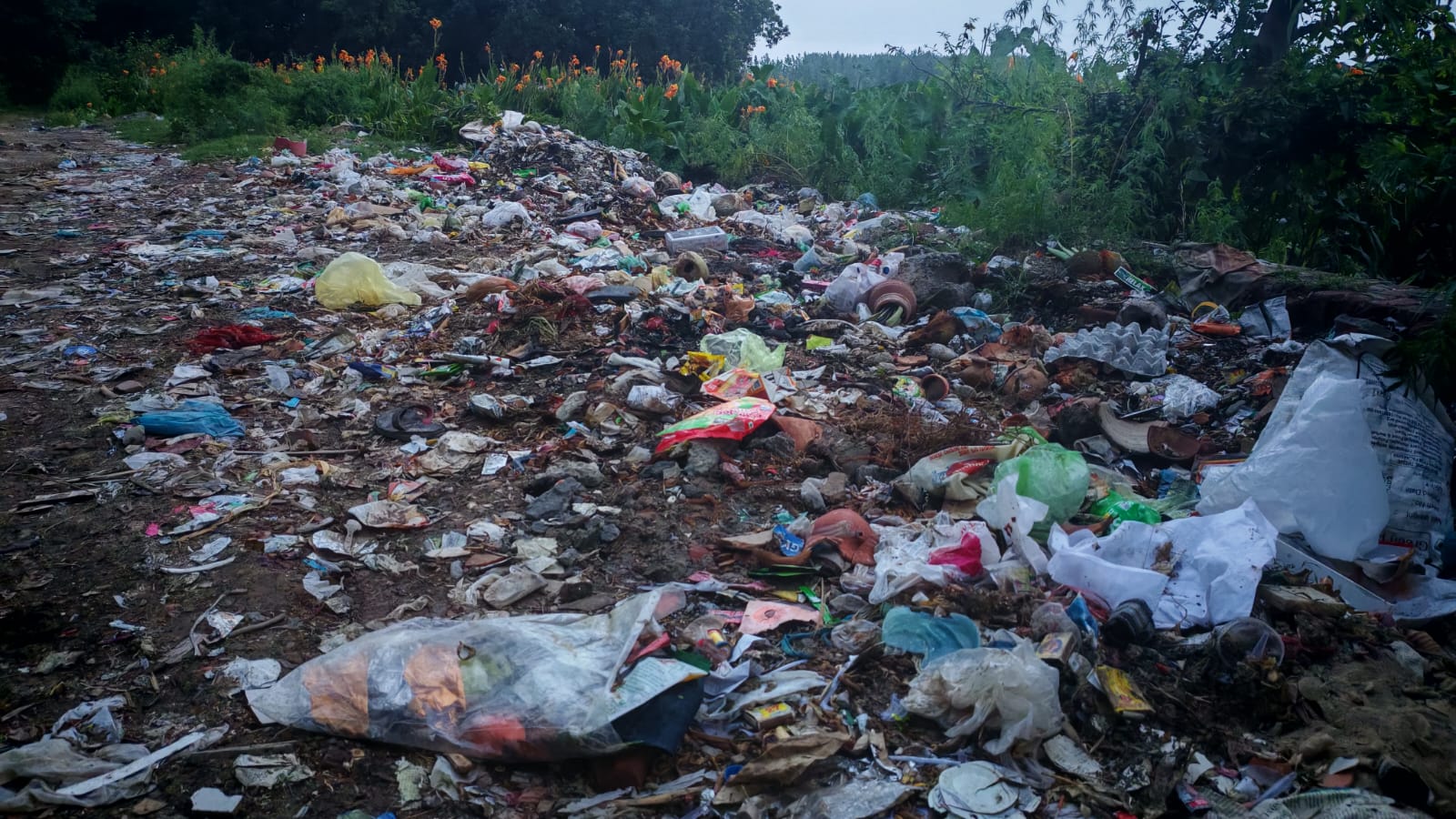 Waste Challenge